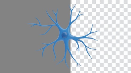 Animação 3D da célula neural de astrócitos | Alpha Channel