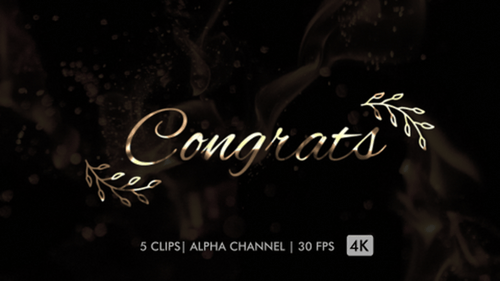 Congrats Text Animation