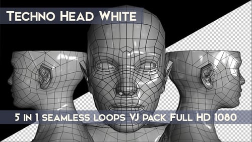 3D Wireframe Human Head Assembly and Disassembly Animation