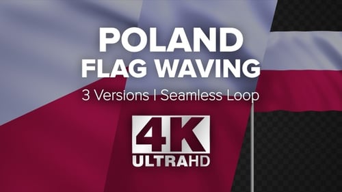 Poland National Flag Waving Animation Loop