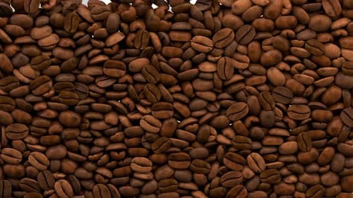 Transition vers les grains de café