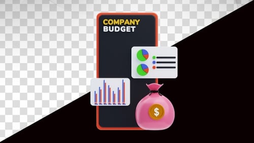 3D Animation of Company Budget