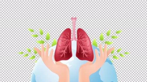 Human Lungs and Earth Protected by Hands Animation