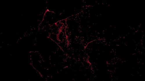 Realistic Blood Splatter Animation Effect Pack