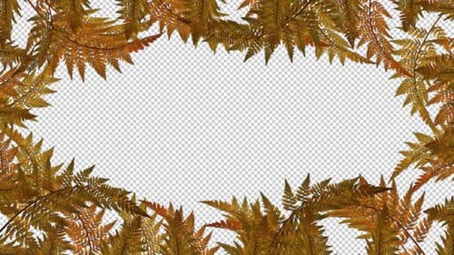 Autumn Fern Leaves - Sreen Frame - Windy Loop - Alpha Channel
