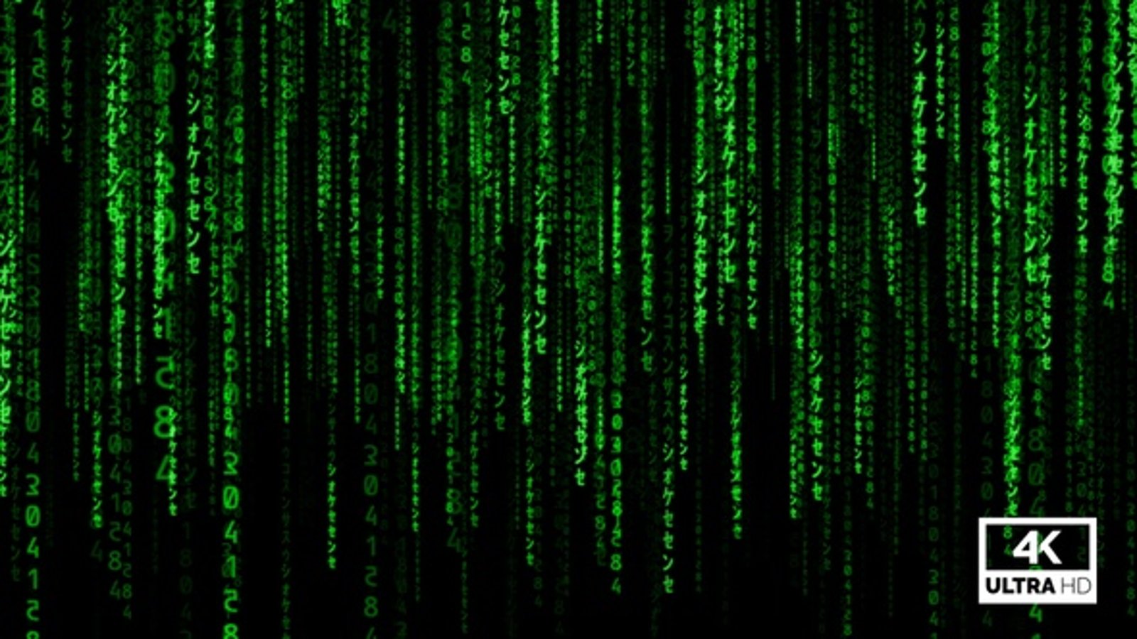 Matrix Rain Code Background Green Loop V5, Backgrounds Motion Graphics ...