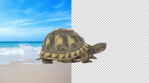 Turtle Attack inactivo