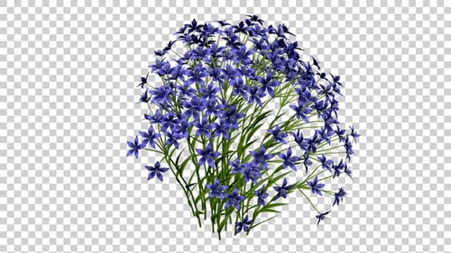 Swaying Purple Flowers Natural Animated Element