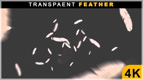 Random Floating Feather From Center Video VFX Animation On Transparent Background