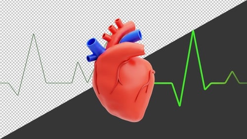3D Heartbeat Line Heart Pulse Rate | Alpha Channel