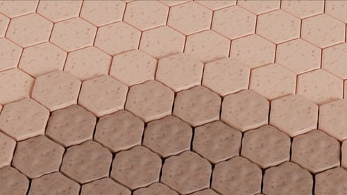 Geometric Hexagon Grid Fluid Color Transformation