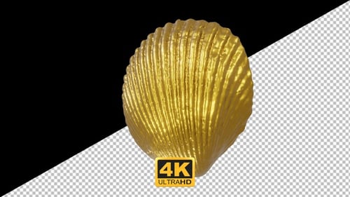 3D Realistic Gold Shell Beach Sea Seamless Loop