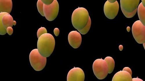 Floating Mangoes with Alpha Channel Loop