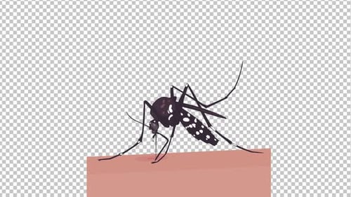 World Mosquito Day