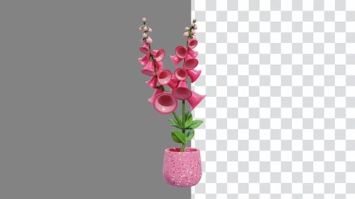 3D Animation of The Charm of Foxglove Flowers | Alpha Channel