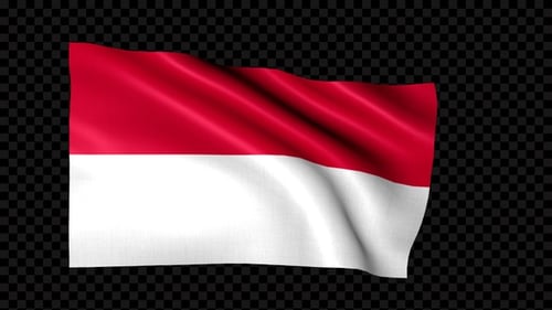 Realistic Waving National Flag Animation