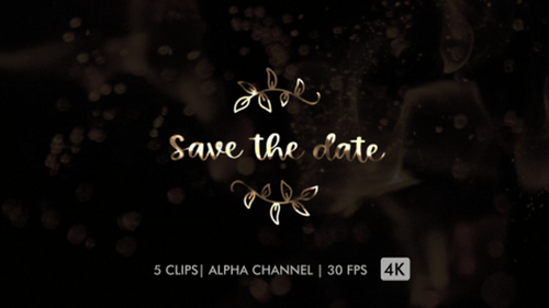 Elegant Save the Date Calligraphy Text Animation with Leaves
