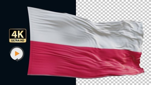 Realistic Waving Polish Flag Seamless Loop