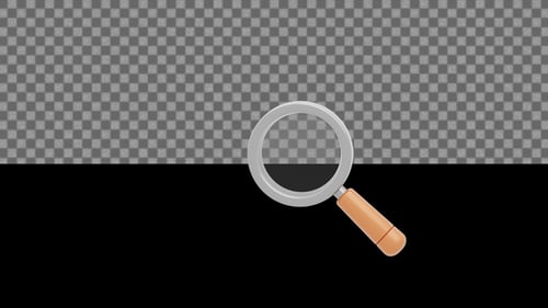 3D Animated Magnifying Glass for Search and Discovery