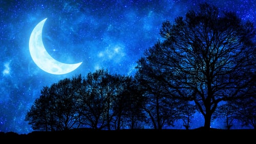 Beautiful Blue Crescent Moon In Galaxy Sky Through Parallax Forest