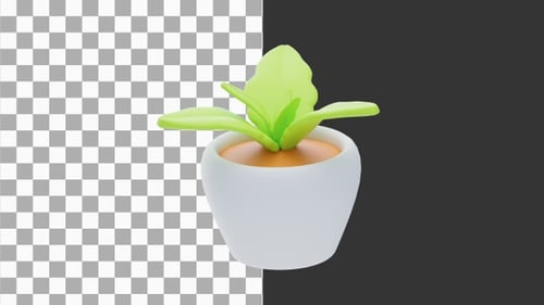 3D Animation of Plants for a Fresh Natural Look | Alpha Channel