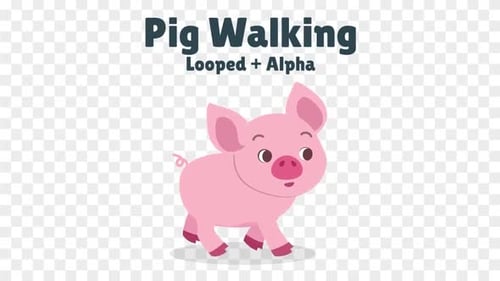 Flat Design Walking Pig Animation