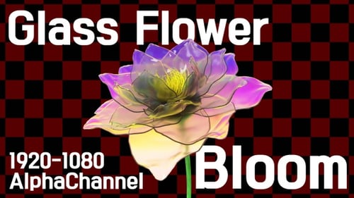 Abstract Glowing Flower Blooming Time Lapse