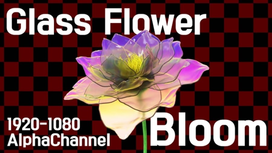 Cover for Flower Glass Bloom Alpha