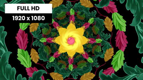 Herbst, Natur, Pflanze 04, VJ Loop
