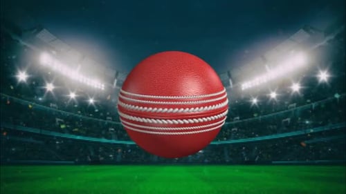 Cricket Ball Spinning #3