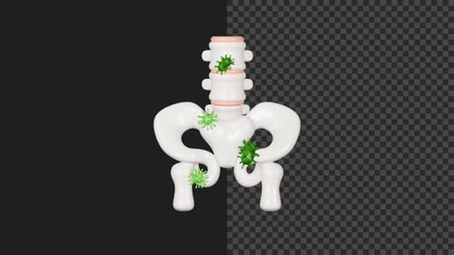 3D Cute Stylized Pelvic Disease Animation | 4K | Transparent Alpha Channel | 6s
