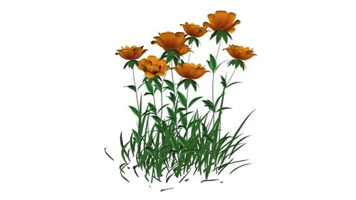 Delicate Animated Orange Flowers and Green Grass Swaying