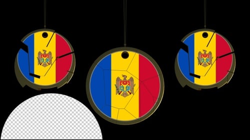 Geometric Flag Circle Logo Reveal Animation
