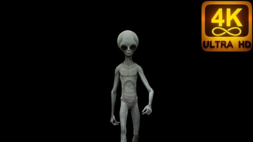 Alien Walk trippy Vj loop Matte background 4k Extraterrestrial Life Ufo Body Walking Daylight 3d