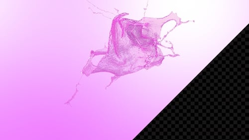 Dynamic Pink Liquid Splash Reveal Element