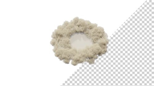 Explosion With Expanding Dust Shockwave