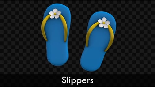 Slippers