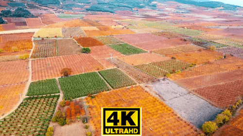 Aerial View of Colorful Agricultural Fields