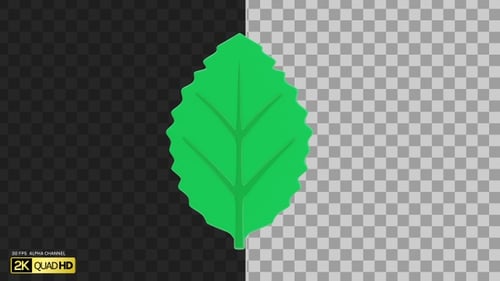 3D Leaf | Alpha Channel
