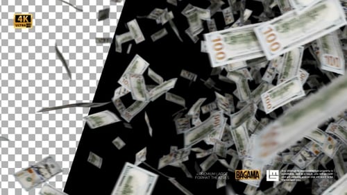 Falling Hundred Dollar Bills Animation