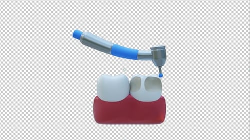 Teeth Cleaning