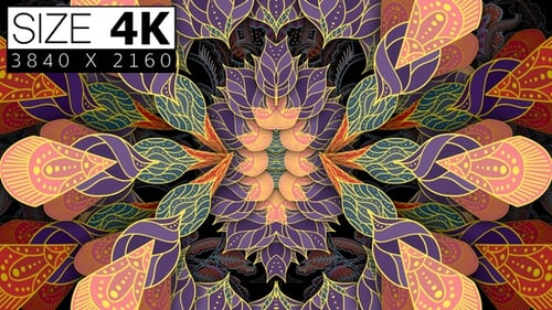 Vibrant Expanding Decorative Mandala Pattern Loop