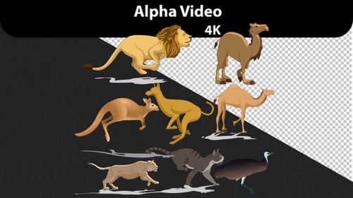 Paquete de animales - 4K