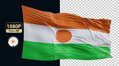 Niger Flag Hd Loop Alpha