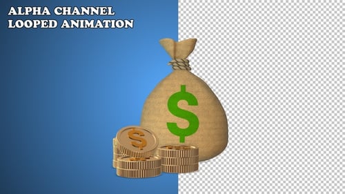 Animated Gold Coins Falling and Money Bag Reveal