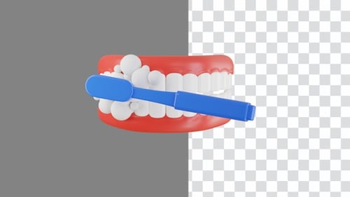3D Animation of Brushing Teeth with Jaw Model and Toothbrush | Alpha Channel
