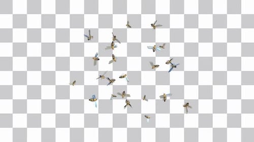 Animated Swarm of Flying Bees