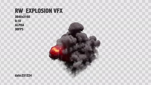 RAW Explosion VFX, 4K, Alpha (251224)