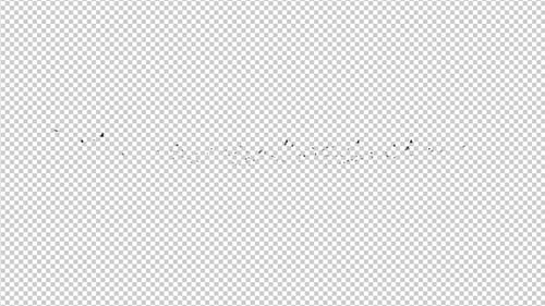 Abstract Fluid Swarm Flying Particles Reveal Animation