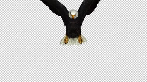 Vista frontal de Eagle Grab